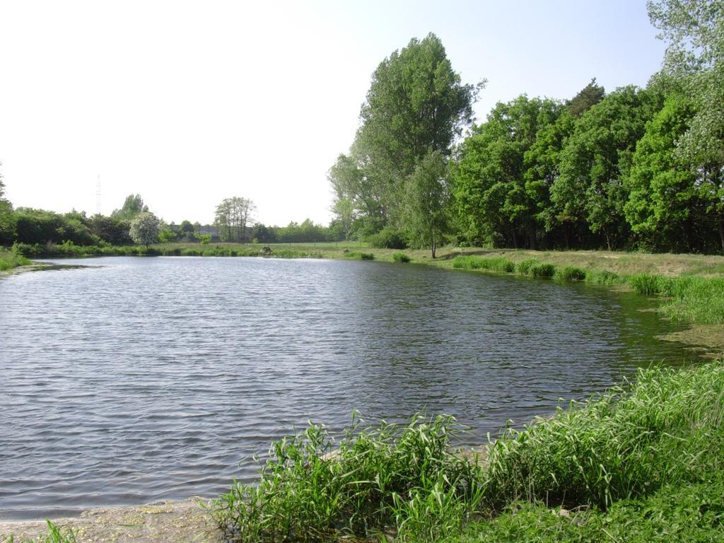 Camping-Aller-Leine-Tal Engehausen Eksteriør bilde